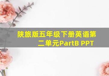 陕旅版五年级下册英语第二单元PartB PPT